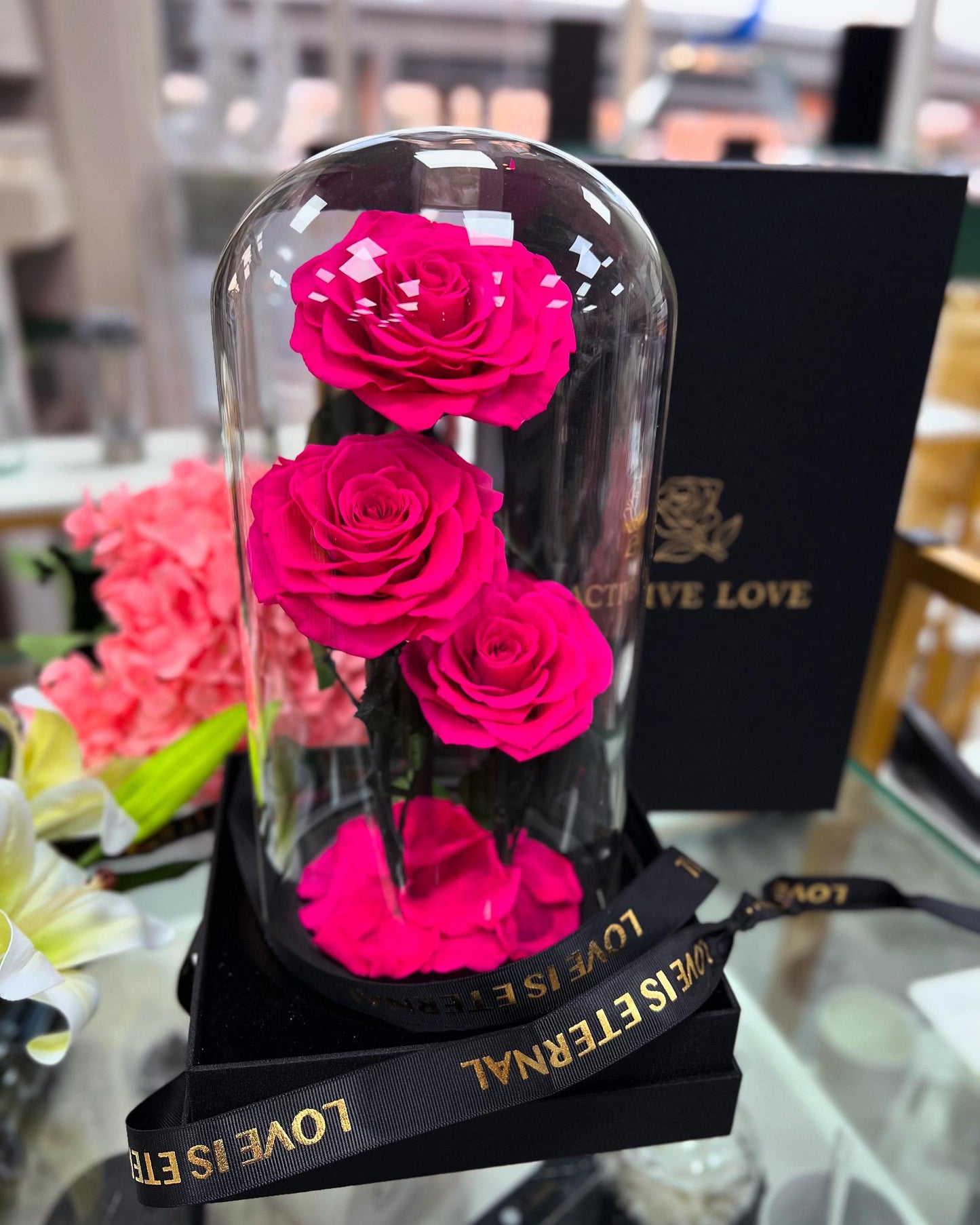 3 Forever Rose Fuchsia