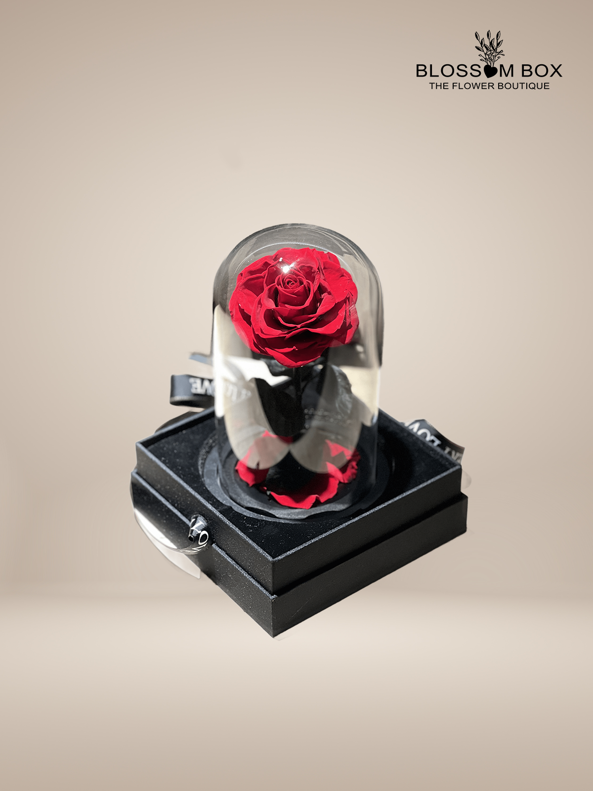 Forever Rose - online Red