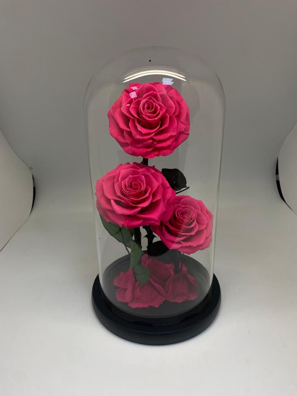 3 Forever Rose Fuchsia