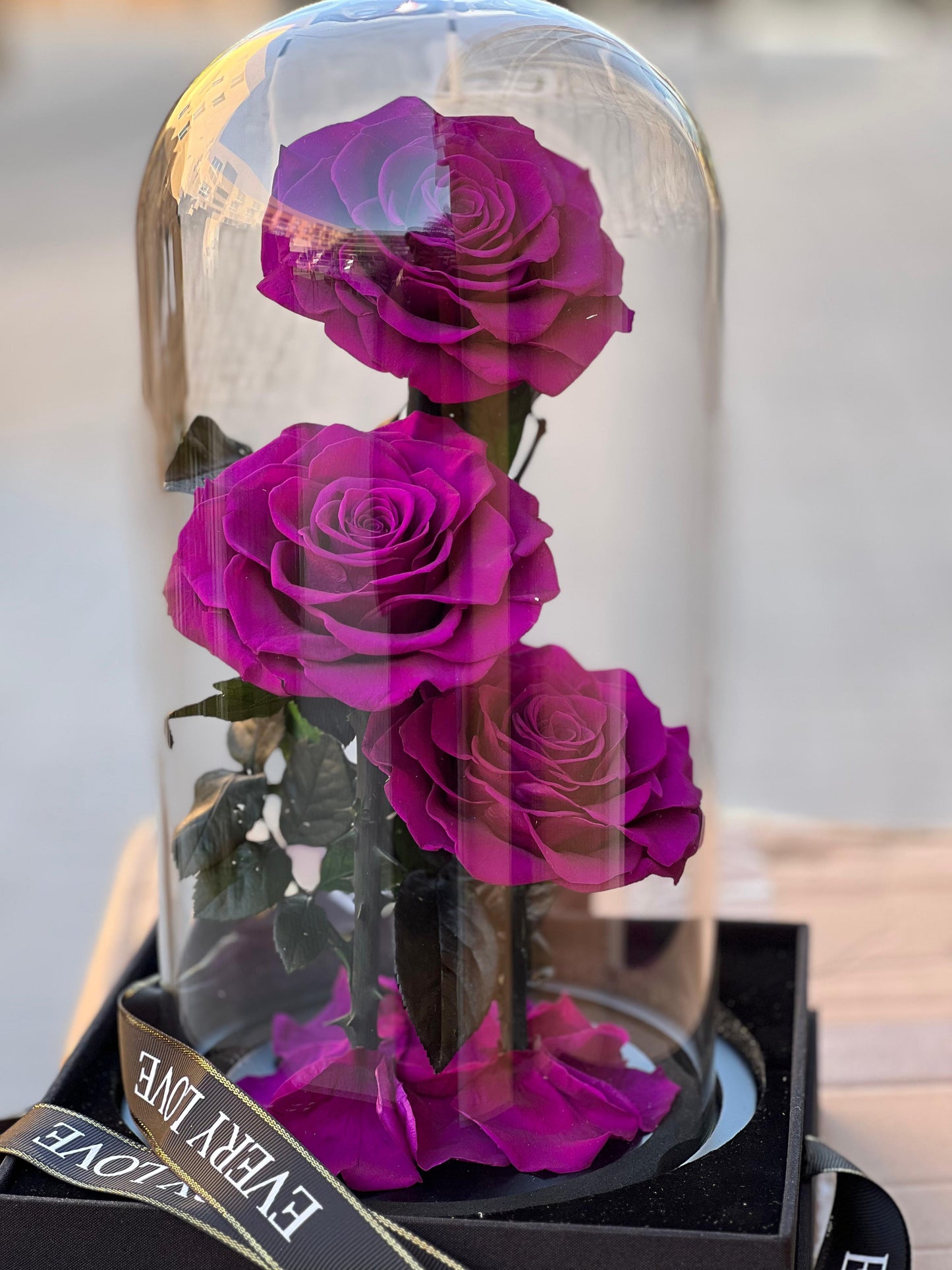 3 Forever rose Purple