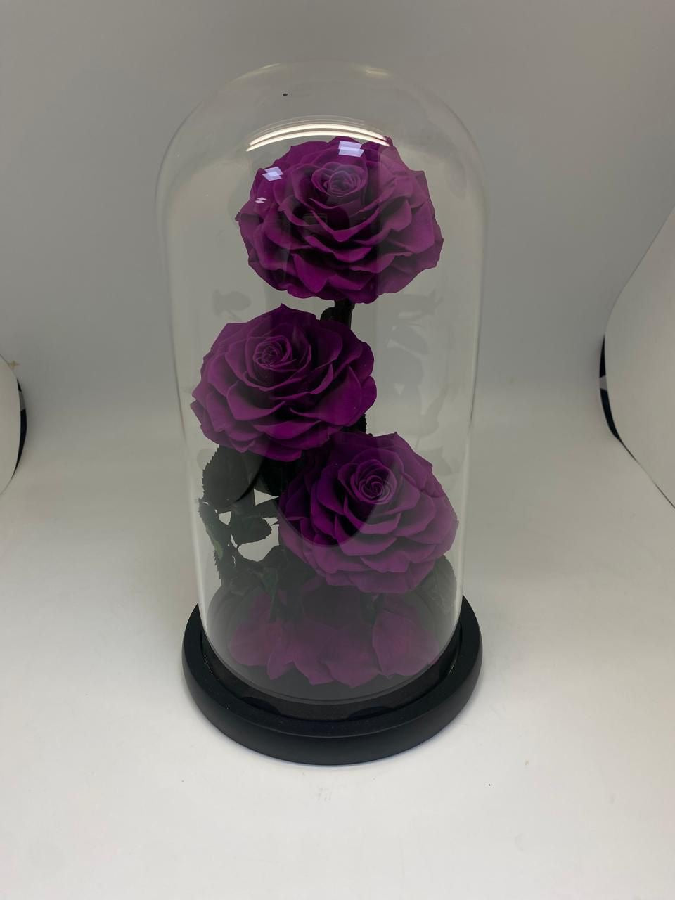 3 Forever rose Purple