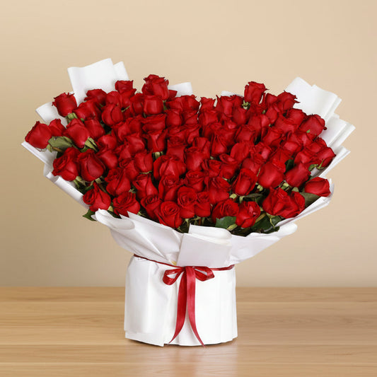 Bouquet of 100 red roses wrapped in white paper with a red ribbon