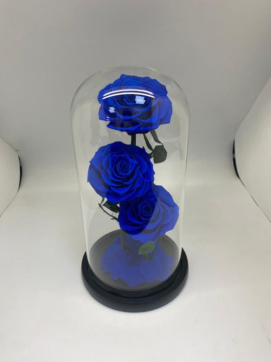 3 Forever Roses Blue