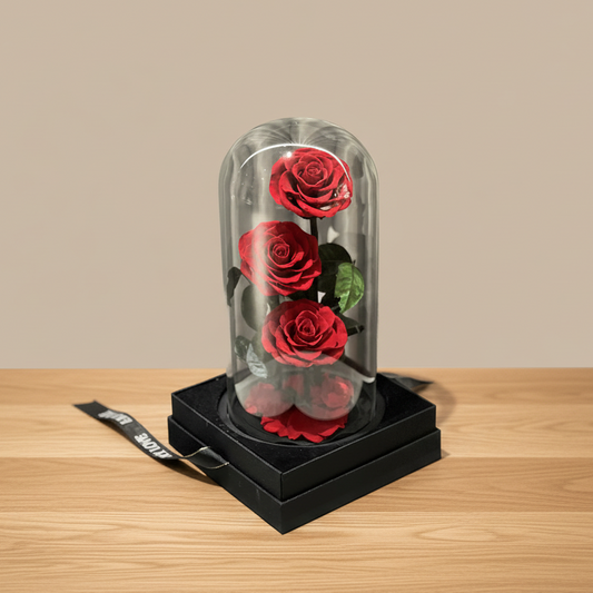3 Forever Roses Red