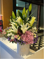 Holland Beautiful Box