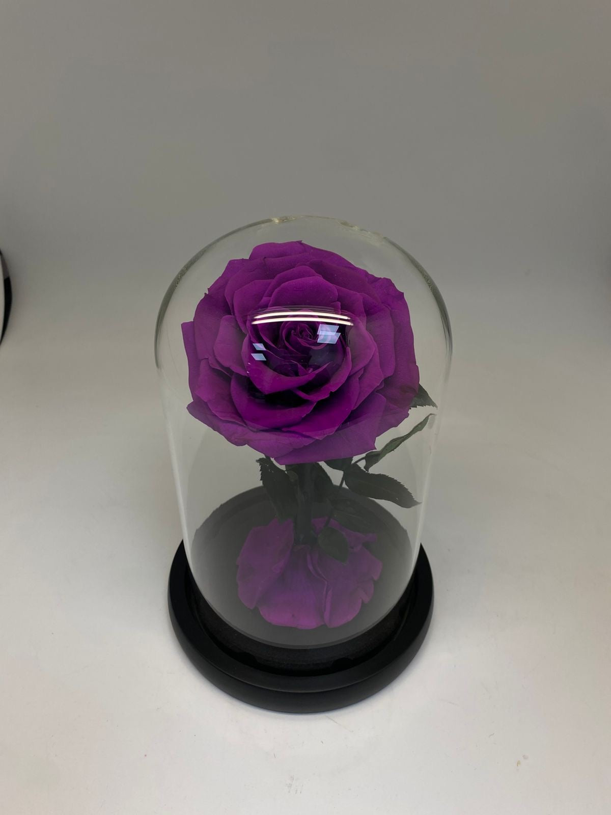 Purple Forever Rose