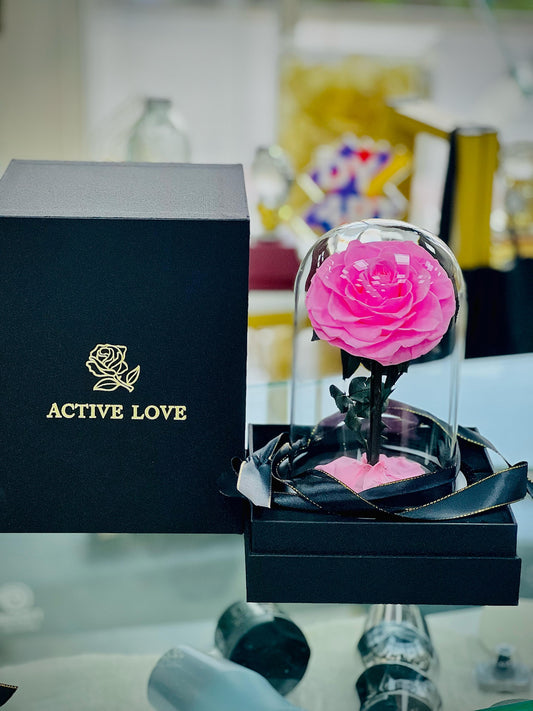 Pink Forever Rose