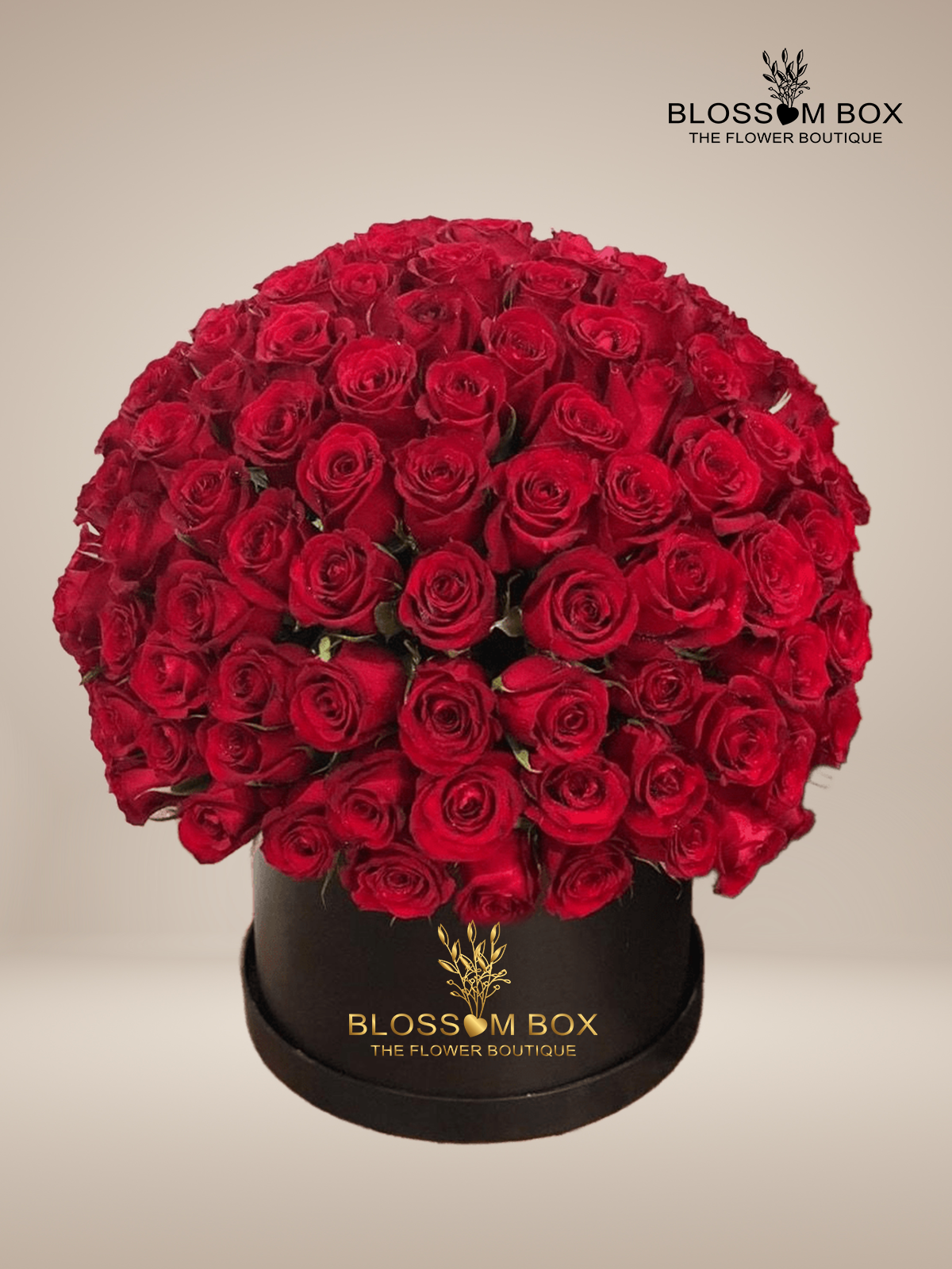 100 Red Roses in Box