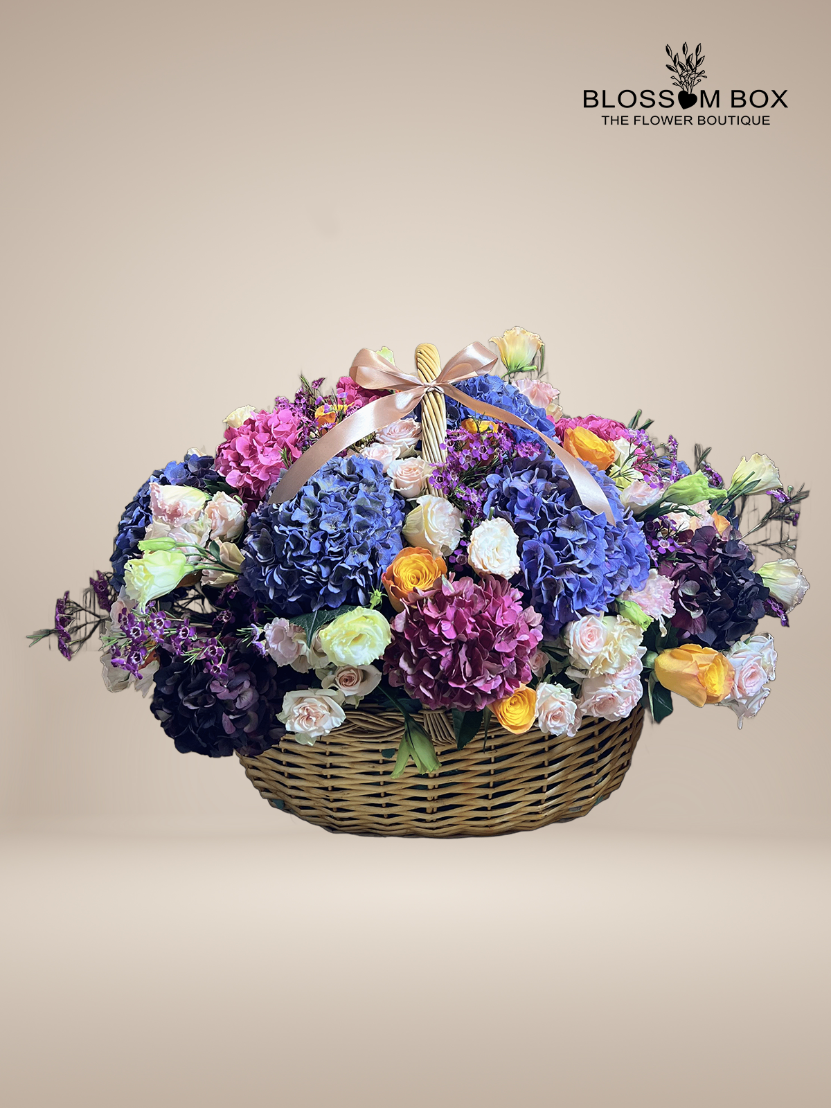 Holland Hydrangeas Mix Basket