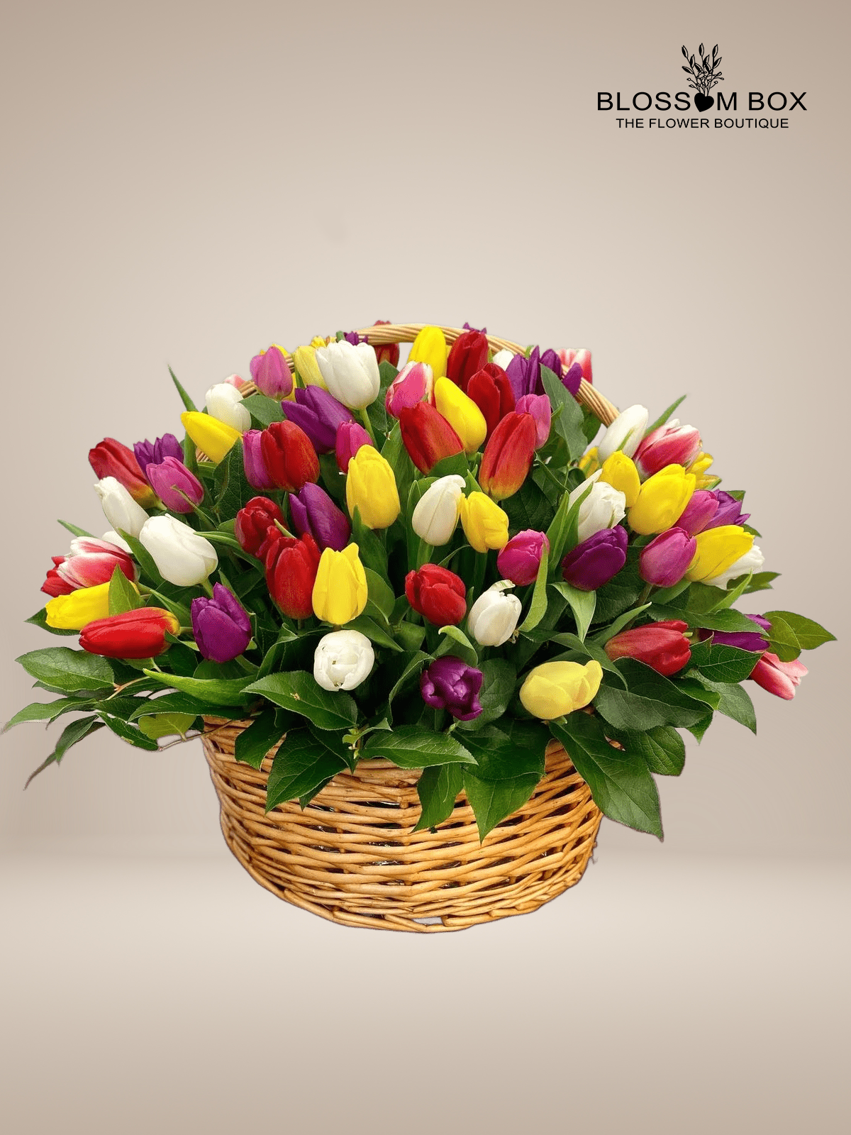 Mix Tulips in a Basket