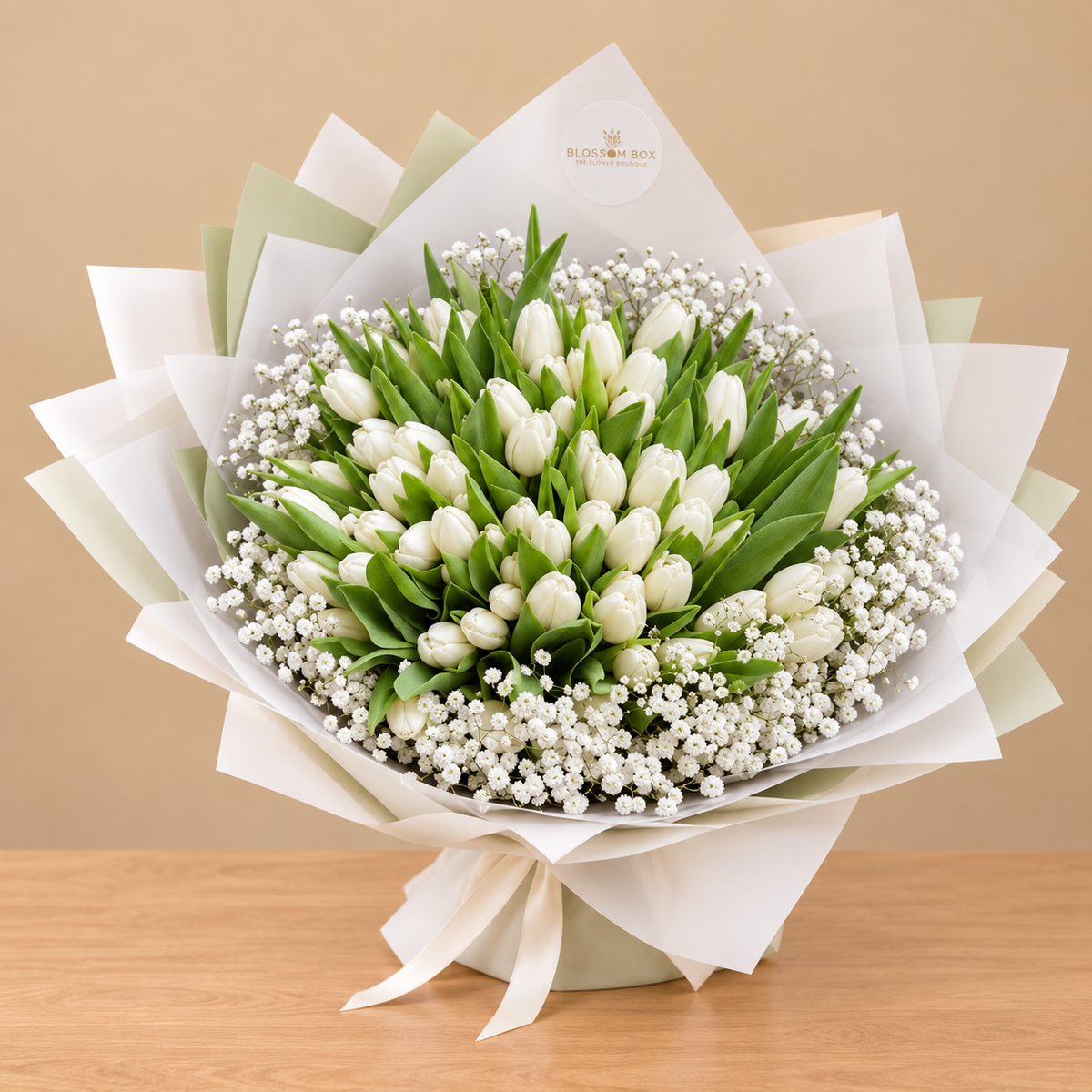 100 Tulip Collection