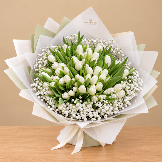 100 Tulip Collection