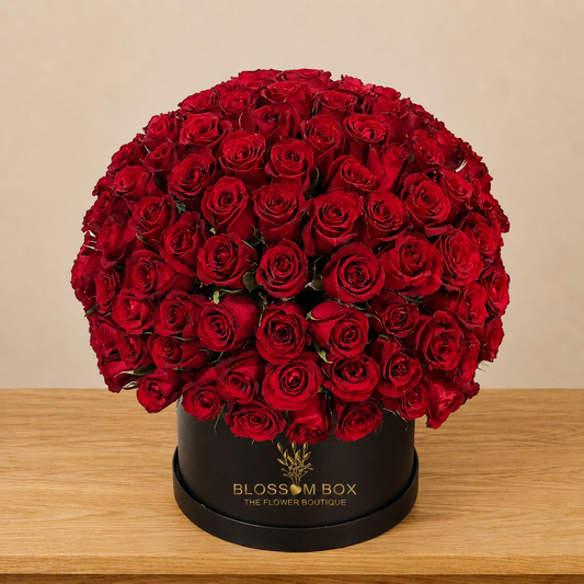 100 Red Roses in Box