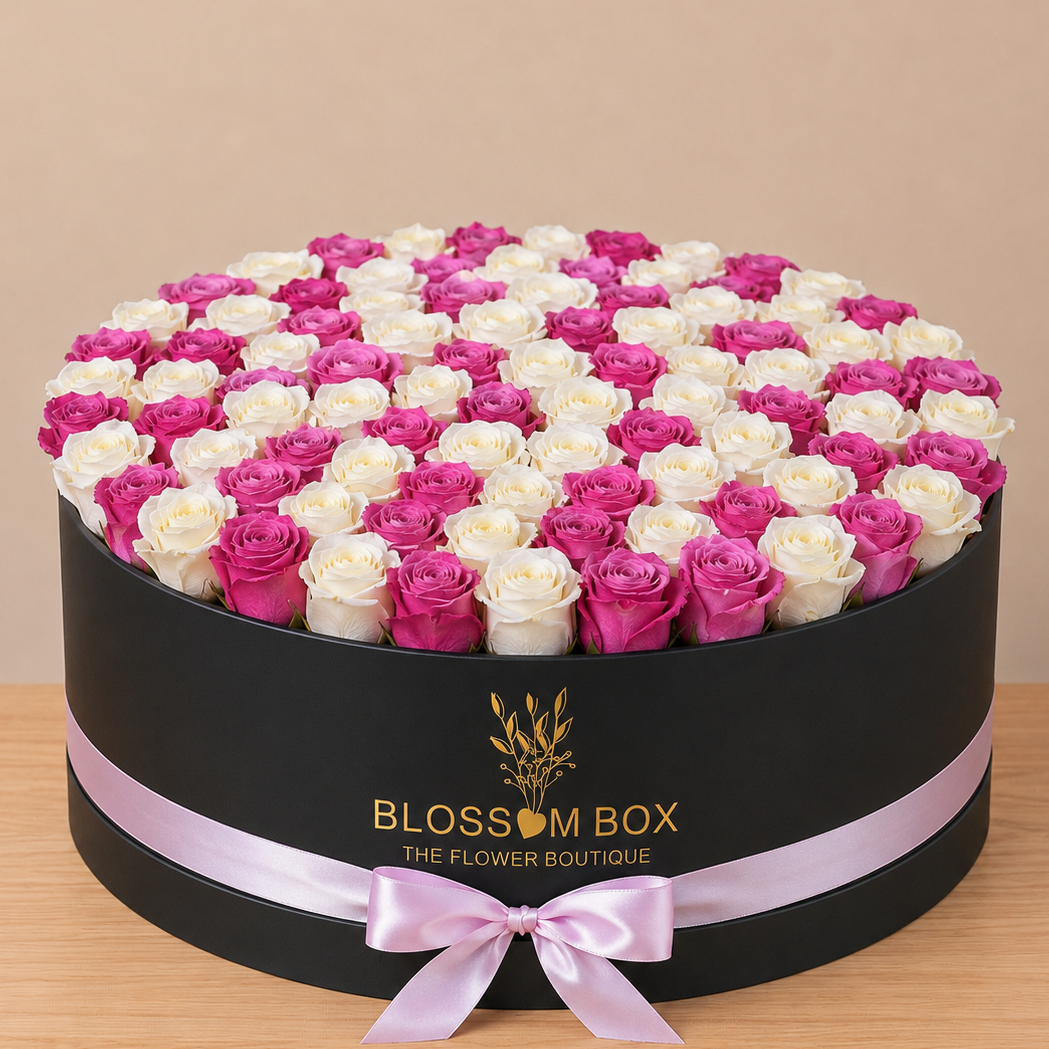 White and Purple 100Roses  Box