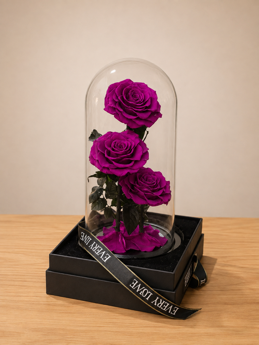 3 Forever rose Purple