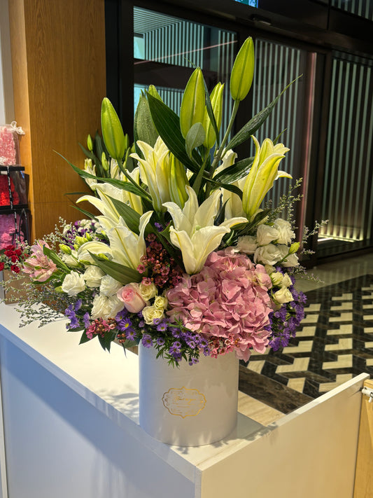 Holland Beautiful Box