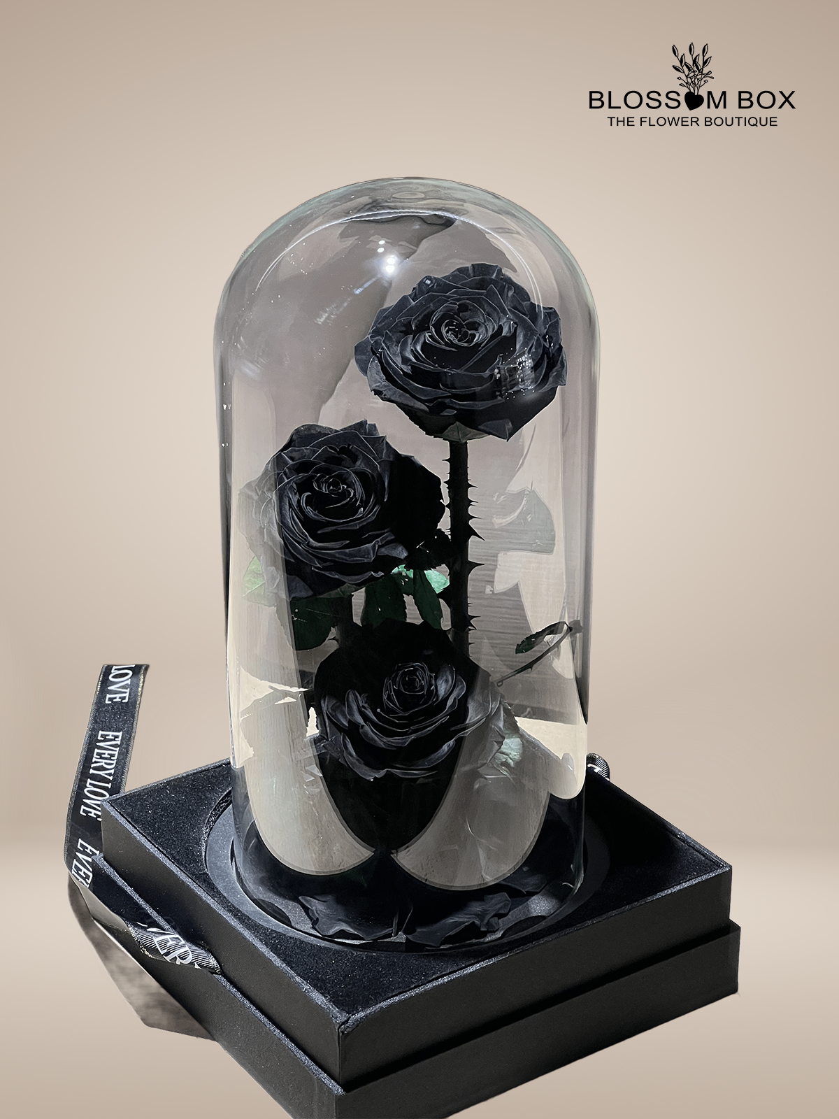 3 Forever Roses Black