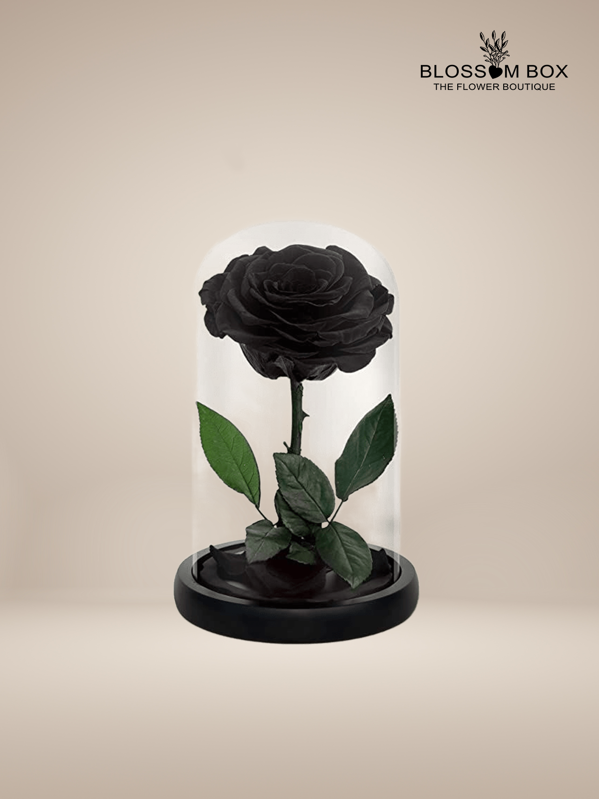 Black Forever Flower