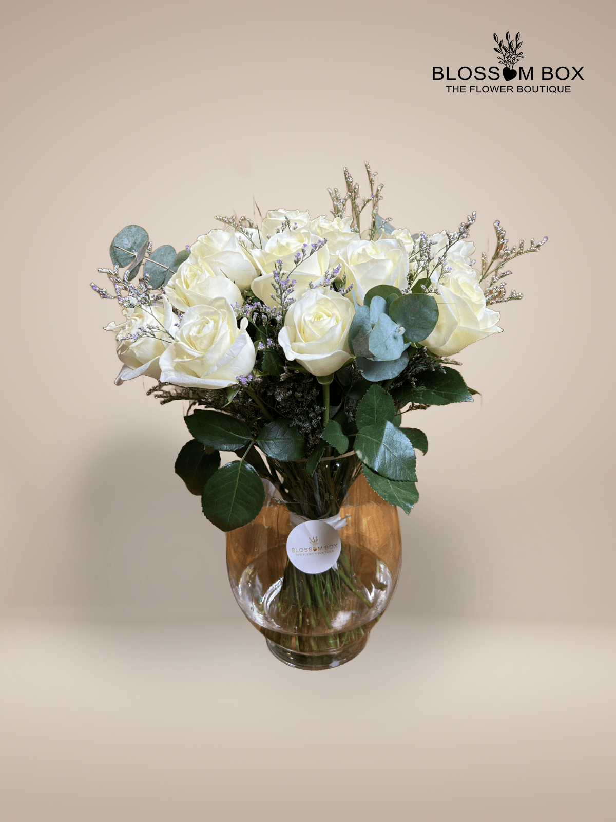 Rose Elegance  White Roses