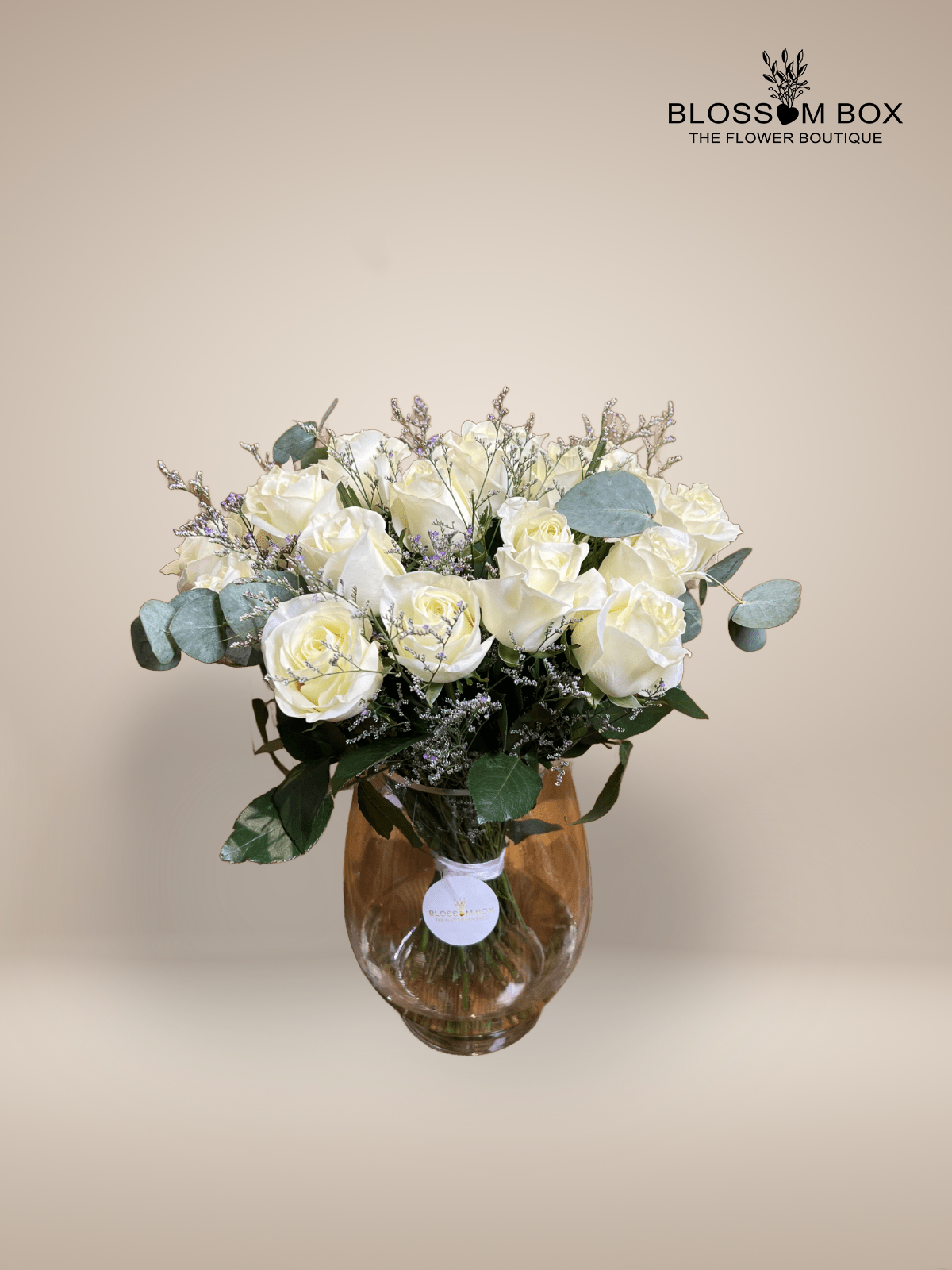 Rose Elegance  White Roses