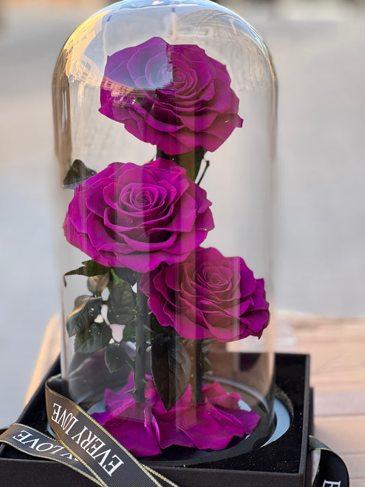 3 Forever rose Purple
