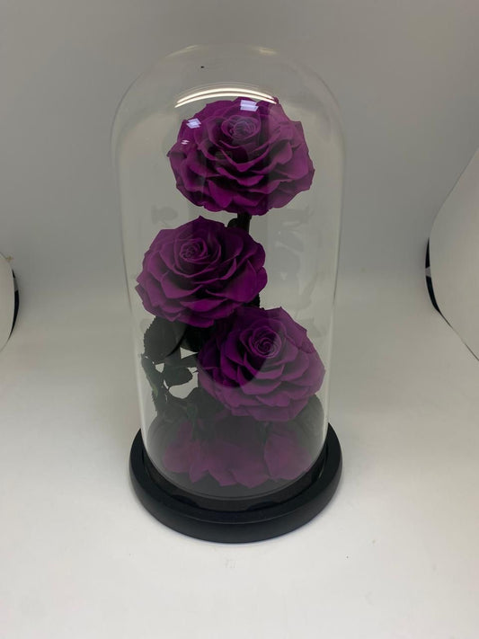 3 Forever rose Purple