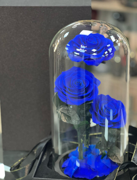 3 Forever Roses Blue