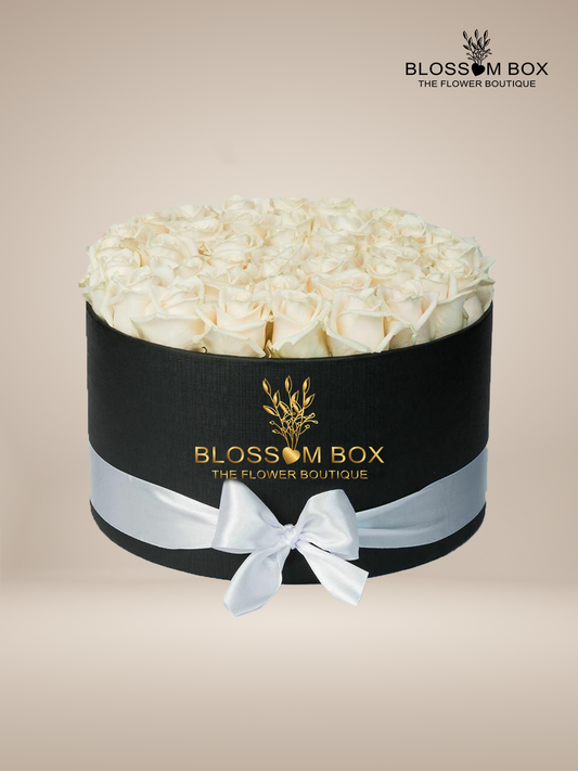 Box of White Roses